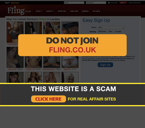 Screenshot of Fling Homepage